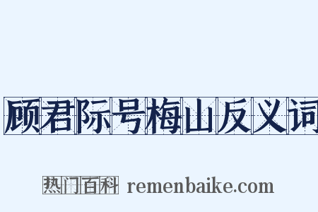 顾君际号梅山反义词是什么意思的图片
